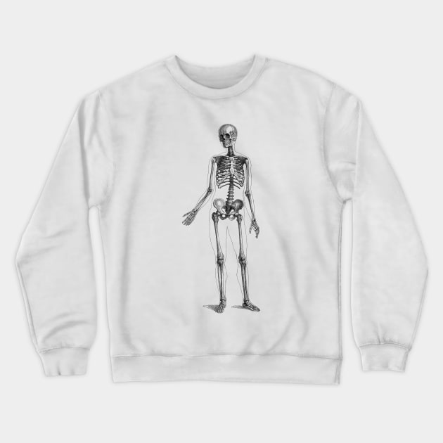 Full Body Skeleton - Vintage Anatomy Crewneck Sweatshirt by Vintage Anatomy Prints